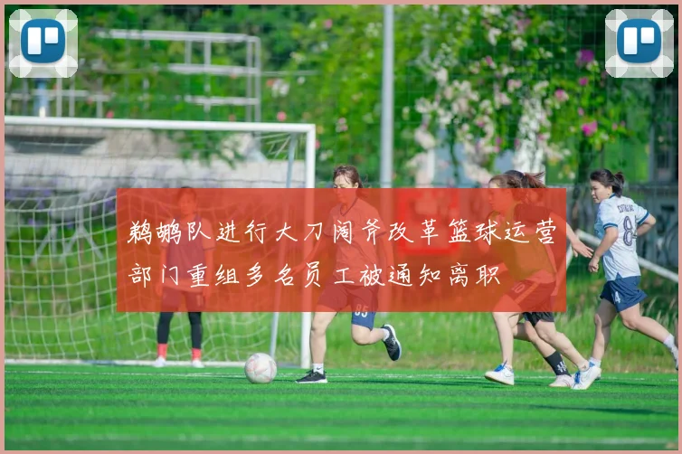鹈鹕队进行大刀阔斧改革篮球运营部门重组多名员工被通知离职